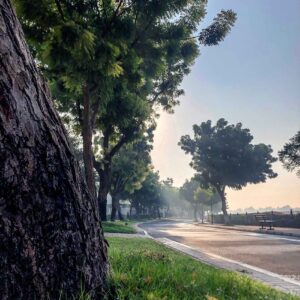 Dubai Emirates Hills street
